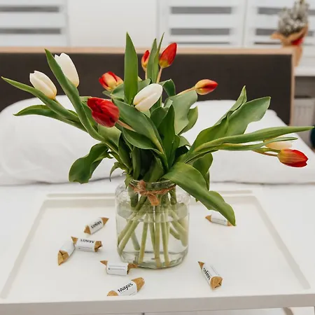 Lejlighed Maya's Flats & 45 - Lux Ogarna 2 Bedrooms Gdańsk
