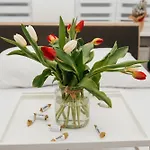 Apartmán Maya's Flats & 45 - Lux Ogarna 2 Bedrooms Gdaňsk