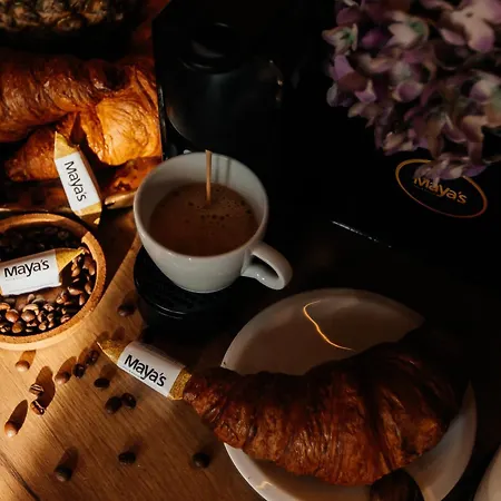 Maya's Flats & 45 - Lux Ogarna 2 Bedrooms * Danzig