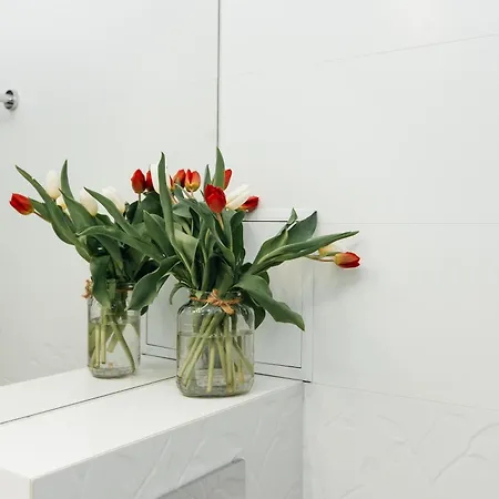 Maya's Flats & 45 - Lux Ogarna 2 Bedrooms * Gdańsk