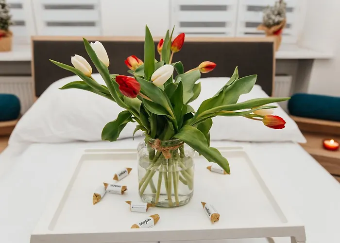 Appartement Maya's Flats&resorts 45 - Lux Ogarna 2 Bedrooms Gdańsk